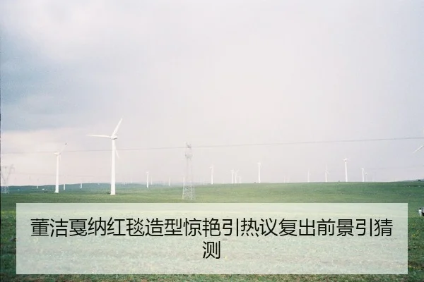 董洁戛纳红毯造型惊艳引热议复出前景引猜测